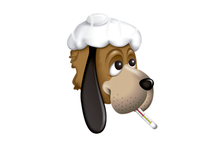 El Mundo De La Mascota